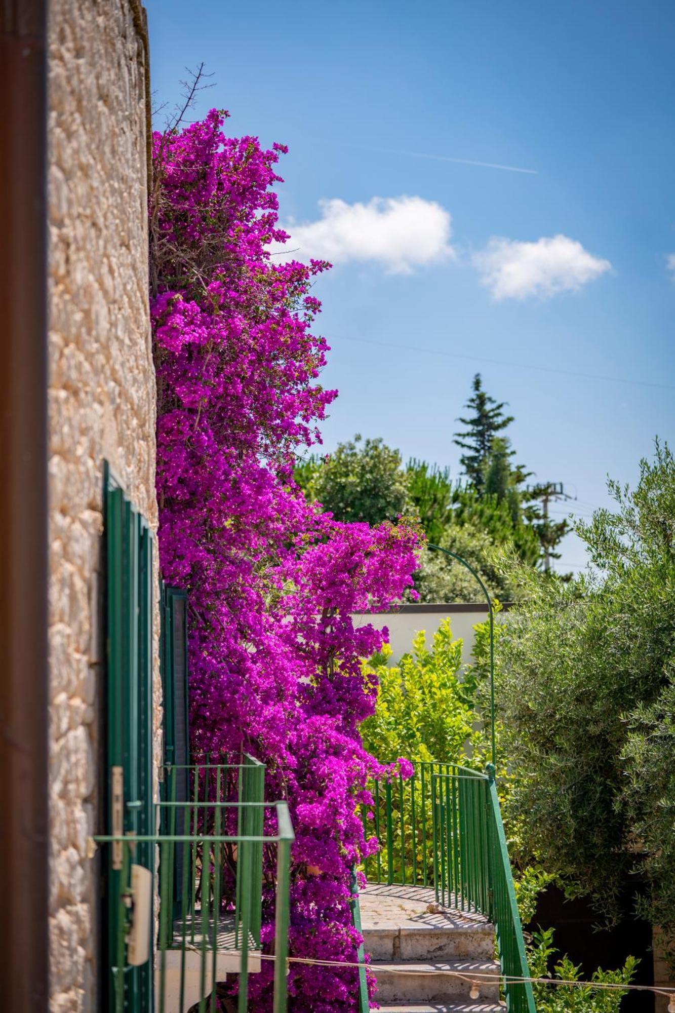Masseria Montepaolo Dimora Di Charme Conversano Buitenkant foto